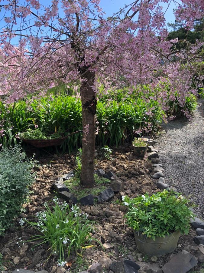 Tranquil Family Retreat Villa Akaroa Luaran gambar
